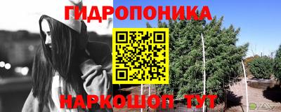 ГАЛЛЮЦИНОГЕННЫЕ ГРИБЫ Обь
