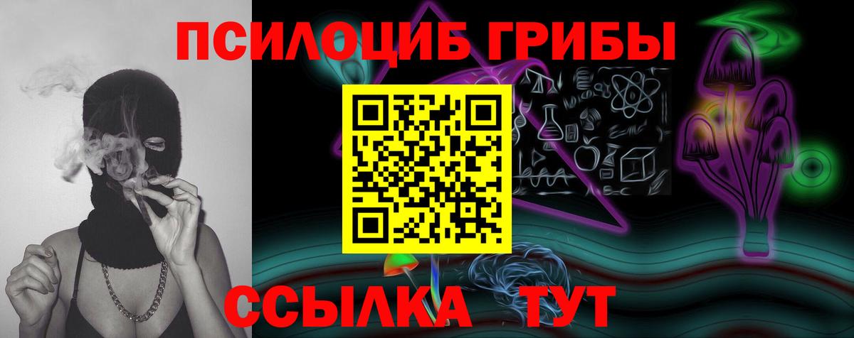 даркнет сайт  Галлюциногенные грибы прущие грибы  Галлюциногенные грибы мицелий  Вход с VPN  Сызрань 