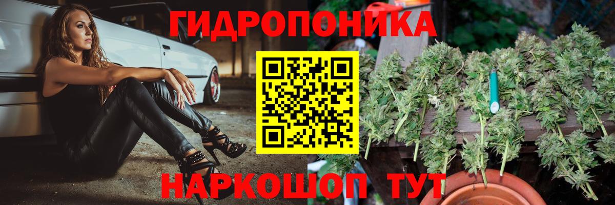 Бошки марихуана конопля  МАРИХУАНА OG Kush  Каннабис планчик  Вход с VPN  Сызрань 